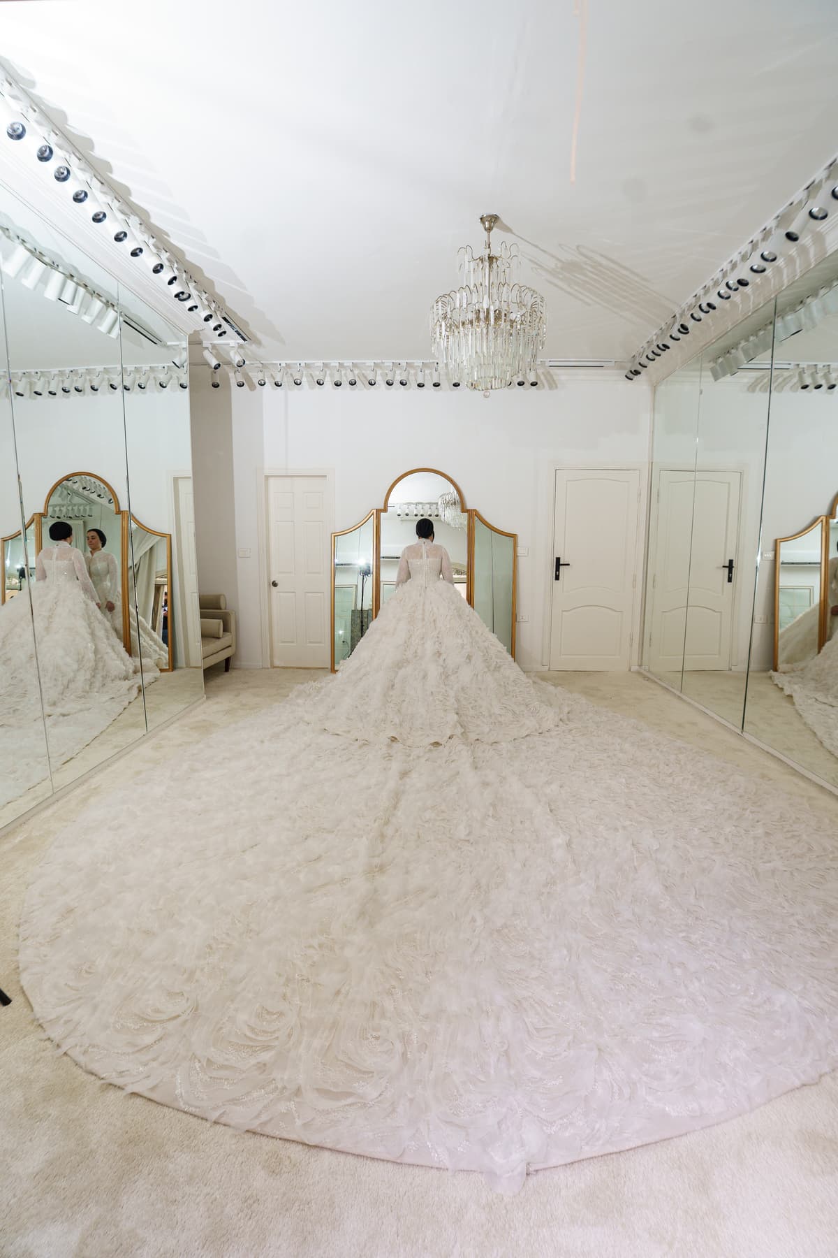 Design 24 11